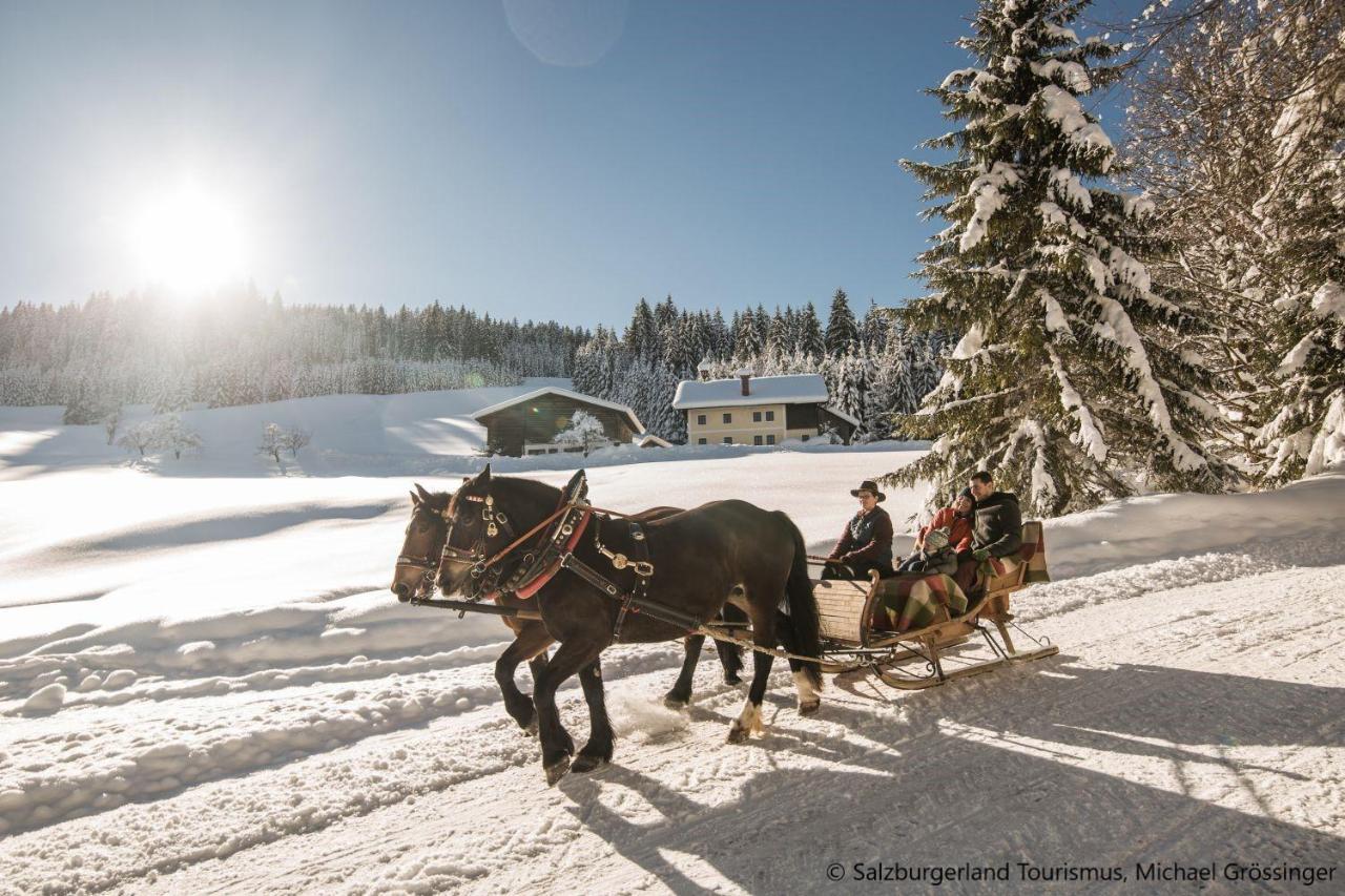 Hideaway Dachstein West By Alps Resorts Sankt Martin am Tennengebirge Zewnętrze zdjęcie